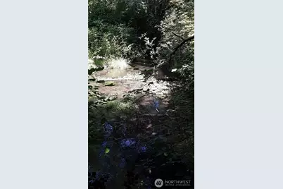 0 236Xxx Us-101, Port Angeles, WA 98363 - Photo 9