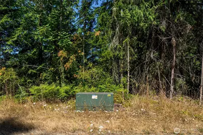 0 Xx Township Line Road, Port Angeles, WA 98362 - Photo 5