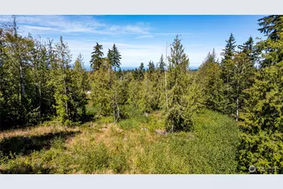 0 Xx Township Line Road, Port Angeles, WA 98362 - Photo 9