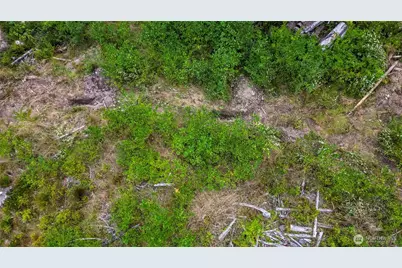 0 Xx Township Line Road, Port Angeles, WA 98362 - Photo 19