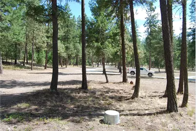 31 Summit Lake Rd, Tonasket, WA 98855 - Photo 27