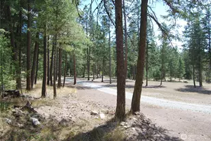 31 Summit Lake Rd, Tonasket, WA 98855 - Photo 29