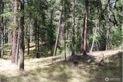 31 Summit Lake Rd, Tonasket, WA 98855 - Photo 35