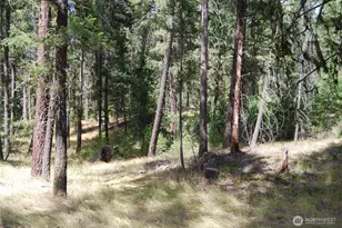 31 Summit Lake Rd, Tonasket, WA 98855 - Photo 35