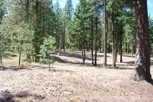 31 Summit Lake Rd, Tonasket, WA 98855 - Photo 31