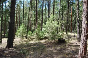 31 Summit Lake Rd, Tonasket, WA 98855 - Photo 33