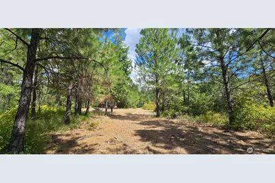 1733 Old Cc Road, Addy, WA 99101 - Photo 1