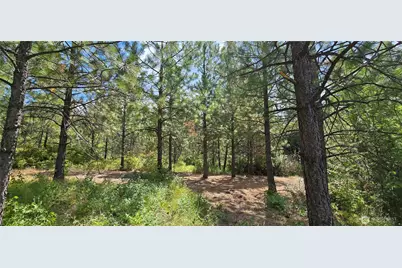 1733 Old Cc Road, Addy, WA 99101 - Photo 13