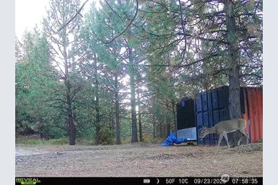 1733 Old Cc Road, Addy, WA 99101 - Photo 29