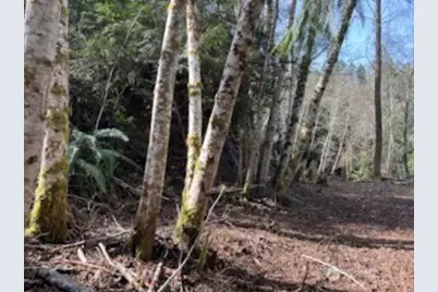 61 E Woods Place, Belfair, WA 98528 - Photo 3