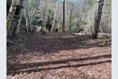 61 E Woods Place, Belfair, WA 98528 - Photo 1