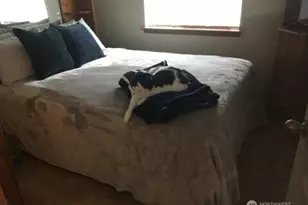 4532 Abalone Street, Bremerton, WA 98310 - Photo 11