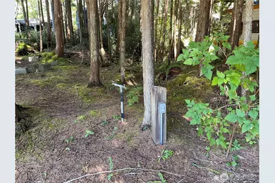 55 Paradise Lane, Pacific Beach, WA 98571 - Photo 31