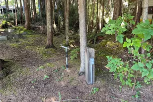 55 Paradise Ln, Pacific Beach, WA 98571 - Photo 31