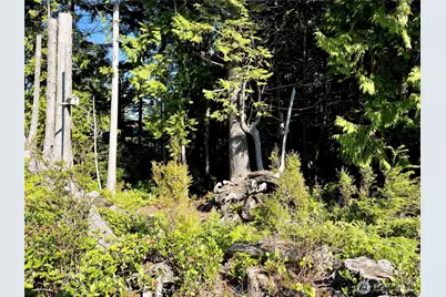 55 Paradise Lane, Pacific Beach, WA 98571 - Photo 25