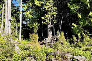 55 Paradise Ln, Pacific Beach, WA 98571 - Photo 25