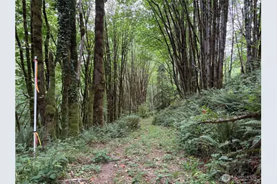 0 P#61828 Brussat, Kelso, WA 98626 - Photo 1