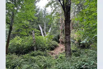 0 P#61828 Brussat, Kelso, WA 98626 - Photo 7