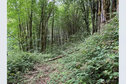 0 P#61828 Brussat, Kelso, WA 98626 - Photo 13