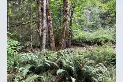 0 P#61828 Brussat, Kelso, WA 98626 - Photo 9