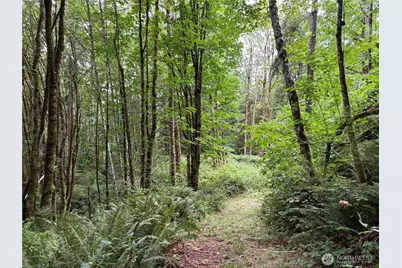 0 P#61828 Brussat, Kelso, WA 98626 - Photo 5