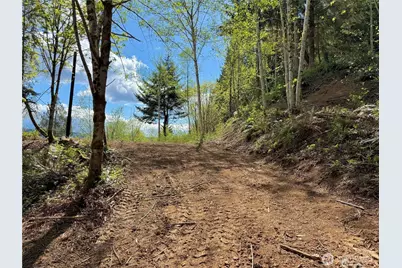 143 N Shar Lane, Lilliwaup, WA 98555 - Photo 19