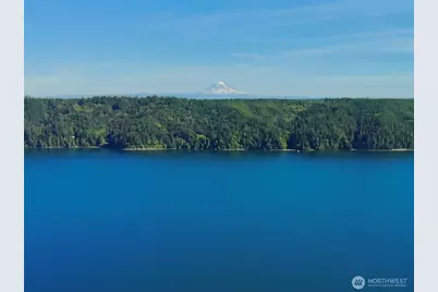 143 N Shar Lane, Lilliwaup, WA 98555 - Photo 5