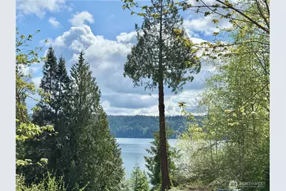 143 N Shar Lane, Lilliwaup, WA 98555 - Photo 3