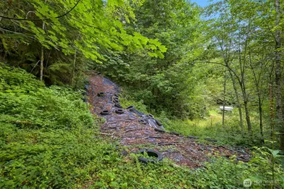 7326 Mt. Baker Highway, Maple Falls, WA 98244 - Photo 15