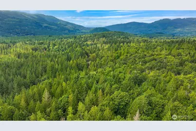 7326 Mt. Baker Highway, Maple Falls, WA 98244 - Photo 23