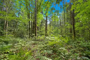 7326 Mt Baker Hwy, Maple Falls, WA 98244 - Photo 19