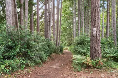 8305 Schirm Road NW, Olympia, WA 98502 - Photo 37