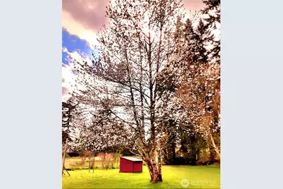 55 Church Road, McCleary, WA 98557 - Photo 39