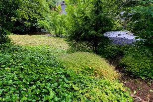 55 Church Rd, McCleary, WA 98557 - Photo 7