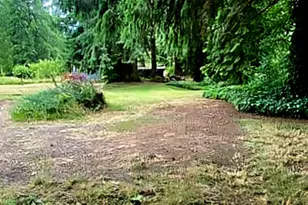 55 Church Rd, McCleary, WA 98557 - Photo 31