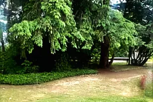 55 Church Rd, McCleary, WA 98557 - Photo 9