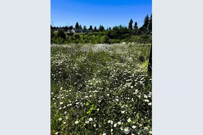 24507 Meridian Avenue E, Graham, WA 98338 - Photo 33