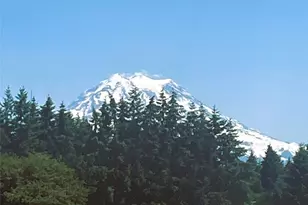 24507 Meridian Ave E, Graham, WA 98338 - Photo 35