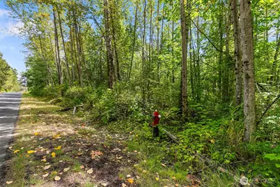 115 155 Tremont Avenue, Bellingham, WA 98226 - Photo 5