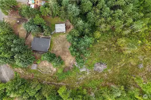 10001 435th St Ct E, Eatonville, WA 98328 - Photo 27