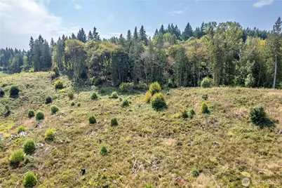 0 Newaukum Valley Road, Chehalis, WA 98532 - Photo 7