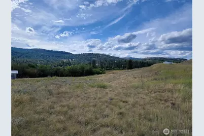 0 Curlew Drive, Republic, WA 99166 - Photo 7