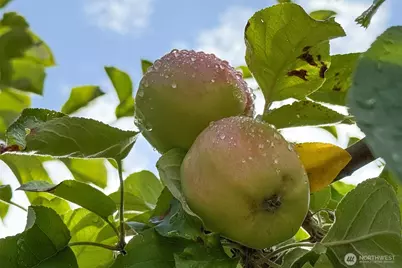 3951 S Tyler Road, Port Angeles, WA 98363 - Photo 35