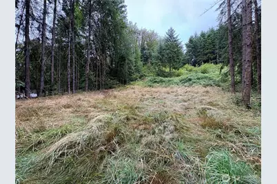 0 Lot B-D SE Rose Street, Winlock, WA 98596 - Photo 5