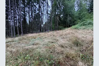 0 Lot B-D SE Rose Street, Winlock, WA 98596 - Photo 15