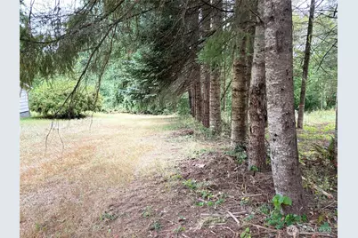 0 Lot B-D SE Rose Street, Winlock, WA 98596 - Photo 11