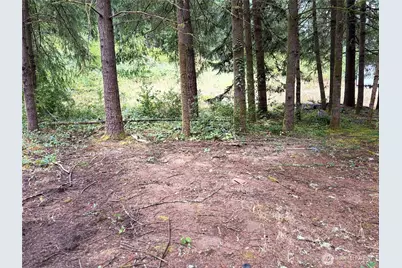 0 Lot B-D SE Rose Street, Winlock, WA 98596 - Photo 9