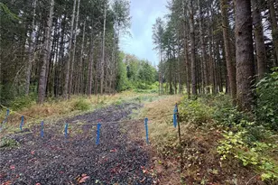 0 Lot B-D SE Rose St, Winlock, WA 98596 - Photo 1