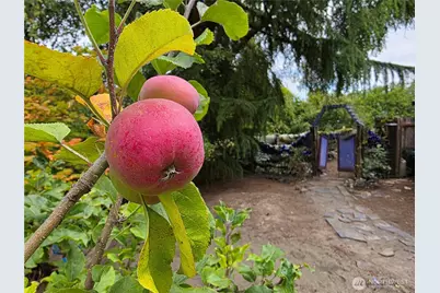 371 E Price Street, Port Hadlock, WA 98339 - Photo 25