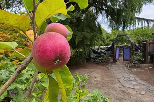 371 E Price St, Port Hadlock, WA 98339 - Photo 25